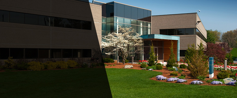 Stone Park Landscapers