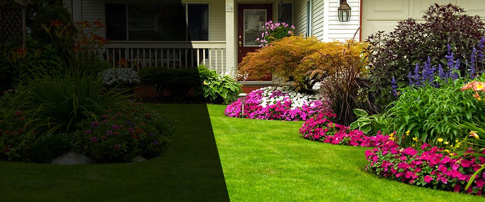 Stone Park Landscapers