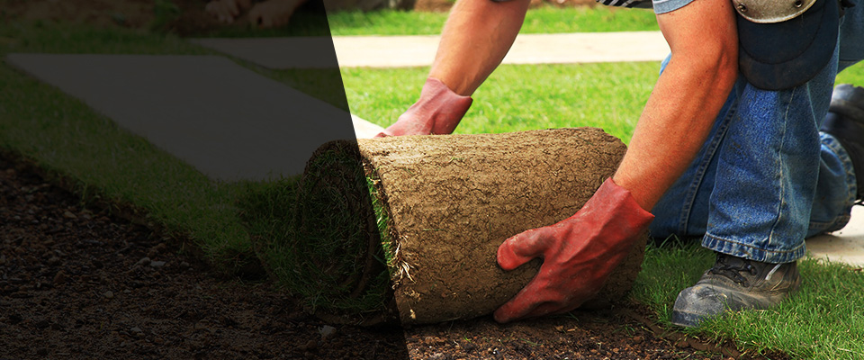 Stone Park Landscapers